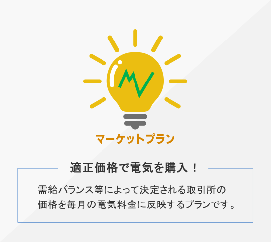 地域の電力会社より一律割引のシンプルでお得な料金プランです。